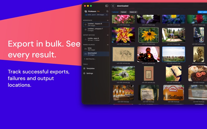 Export results: Review each file's status and output location.