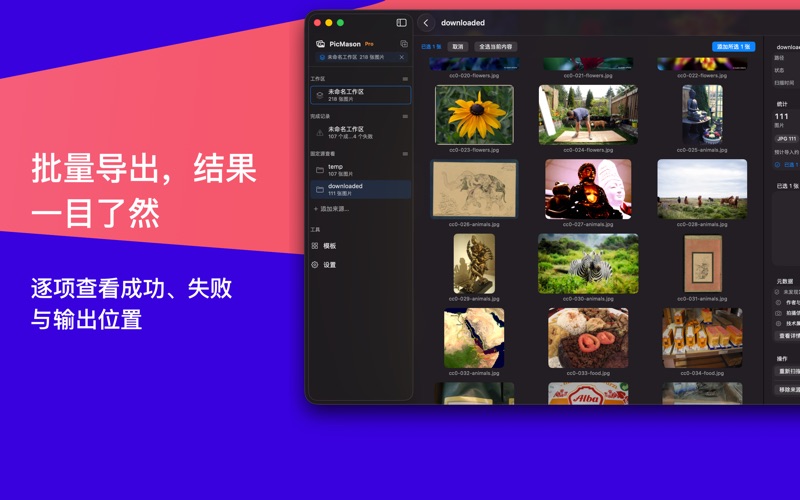 导出结果：逐项查看处理状态与输出位置。